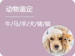 内蒙古动物鉴定